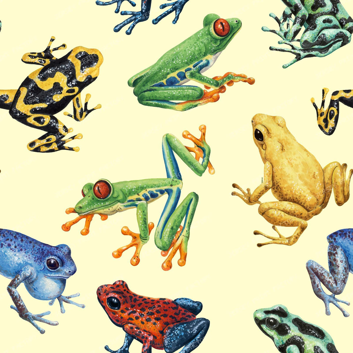 Frogs — on cream
