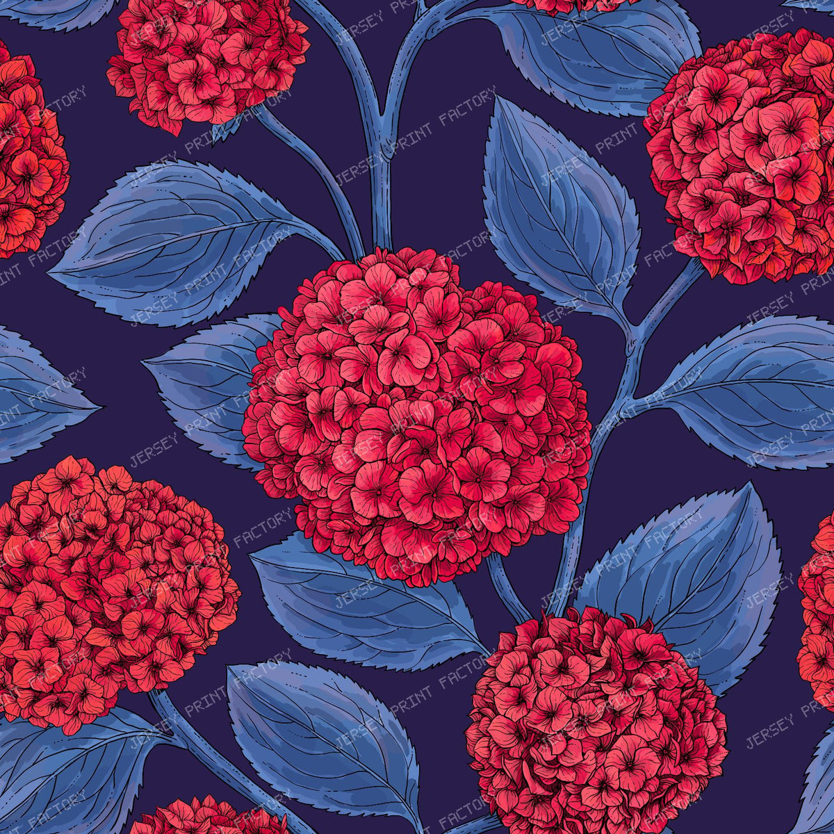Hydrangea — in red and blue