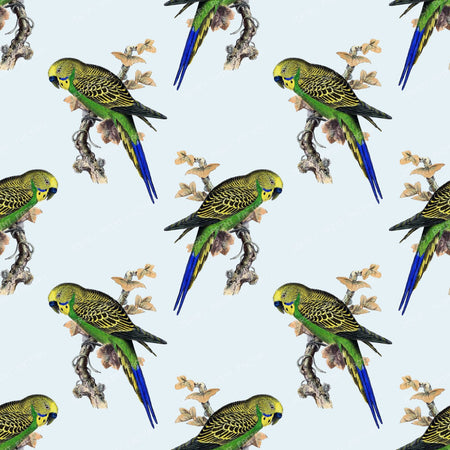 Pattern Of Parrots, Budgerigar, Parakeet, Birds, Tree Branch — Blue