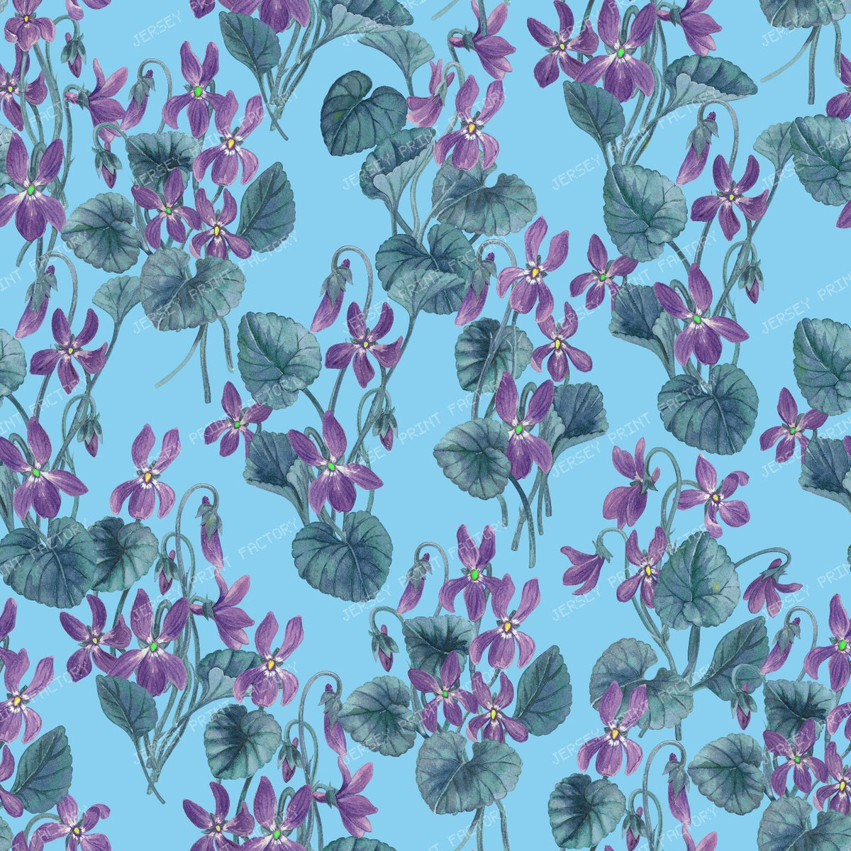Watercolor violets on bright blue