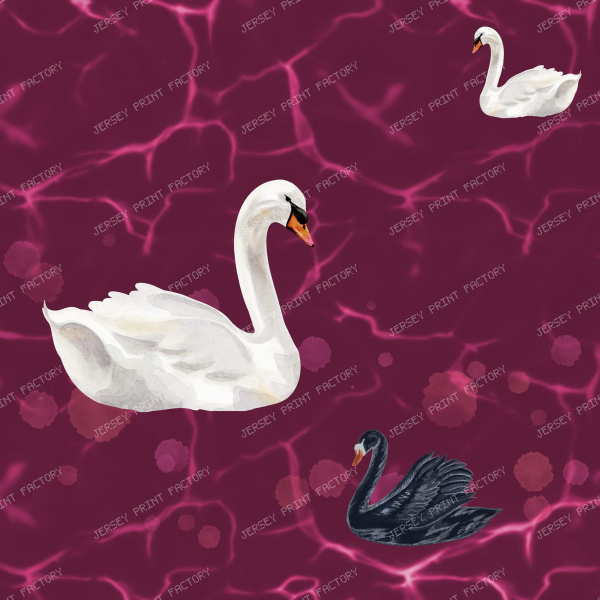 Swan Lake Blue — Raspberry