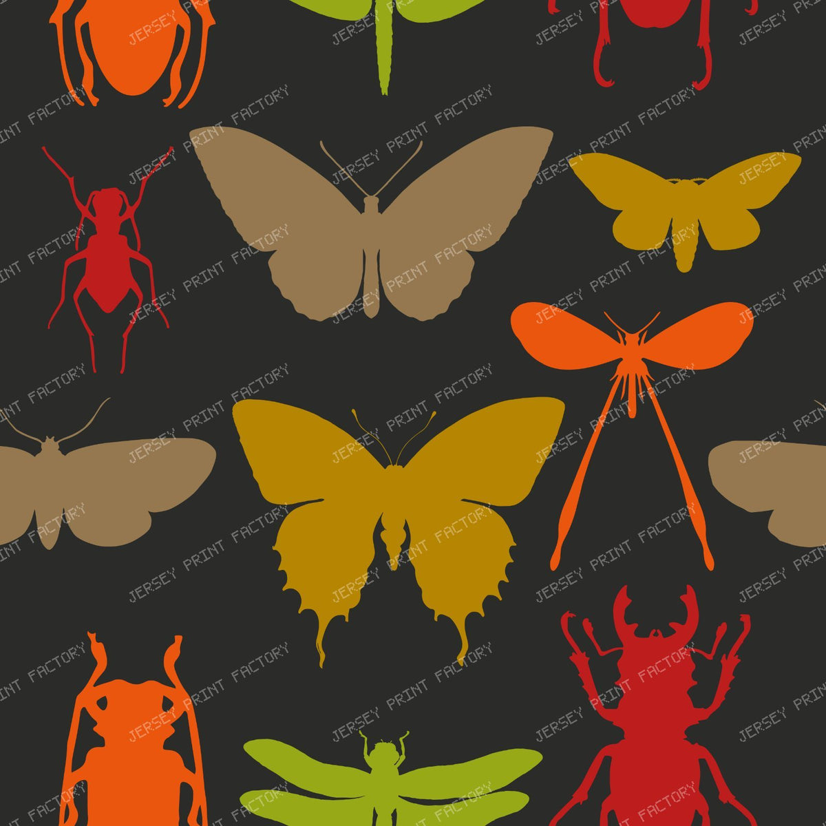 Pattern Of Insects, Butterfly, Moth, Dragonfly, Stag Beetle