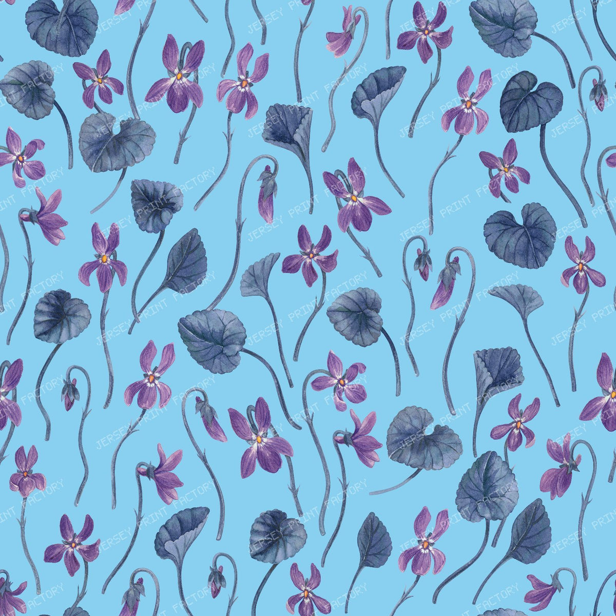 Watercolor violets on honey dew — on blue