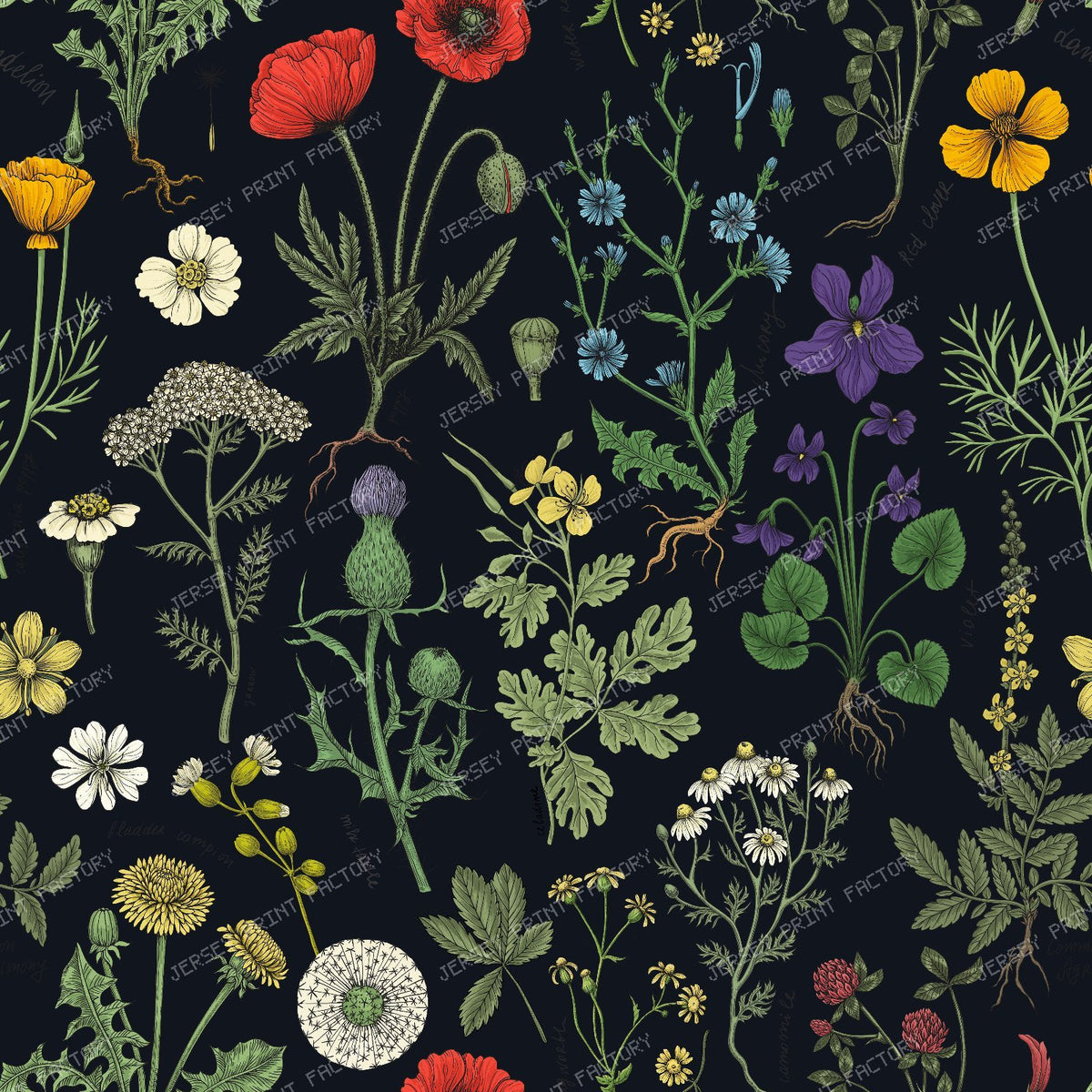 Wildflowers collage on black