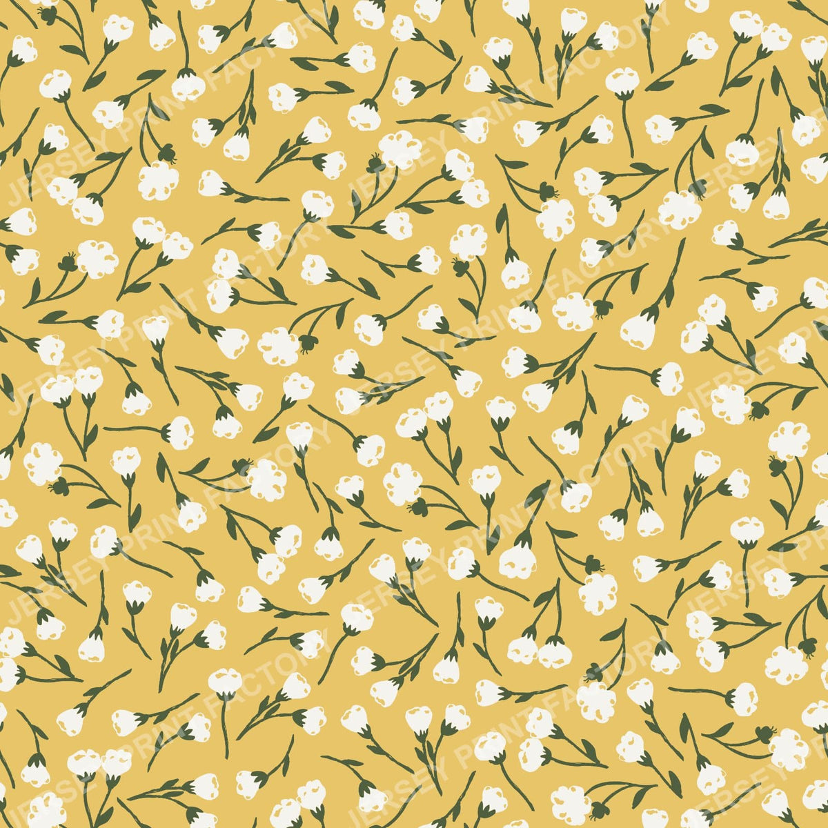 Mustard & Cream