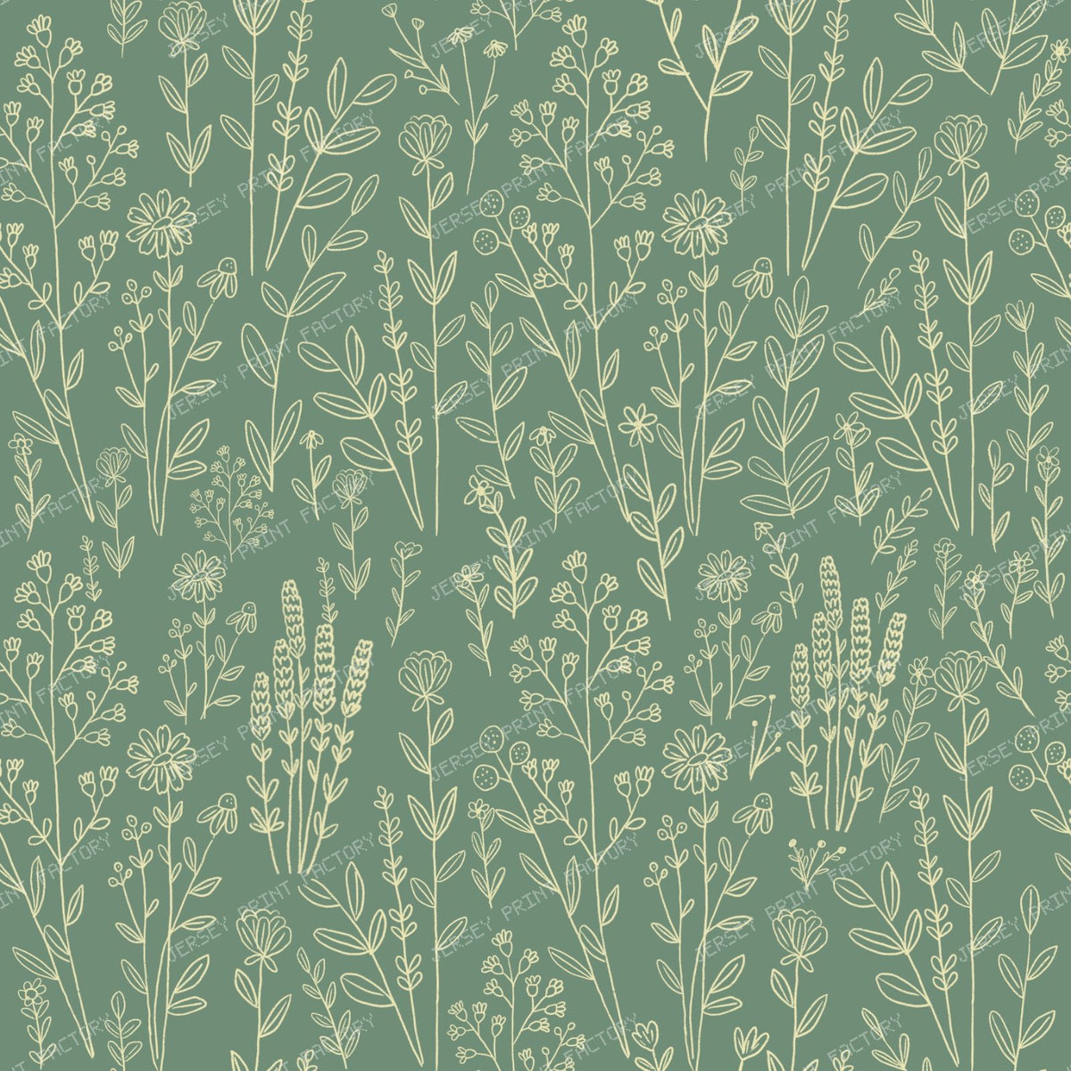 Wildflower Meadow
