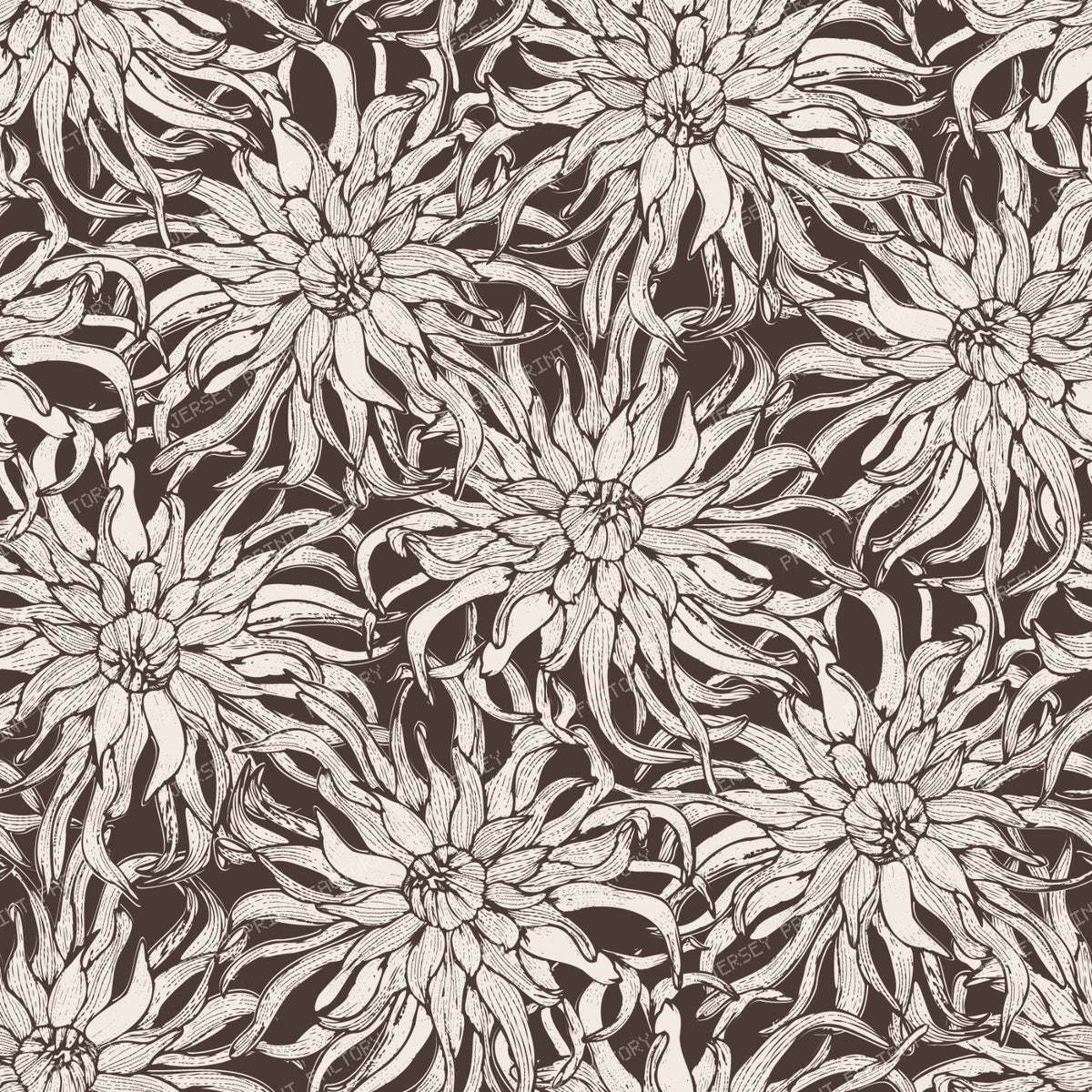 Moody Cactus Dahlia Line Art Vintage Botanical Floral — Toffee