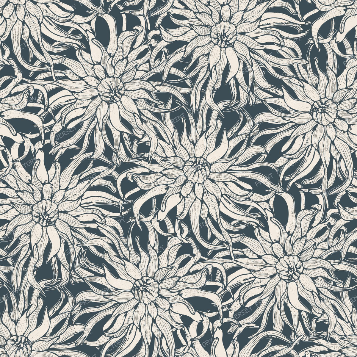 Moody Cactus Dahlia Line Art Vintage Botanical Floral