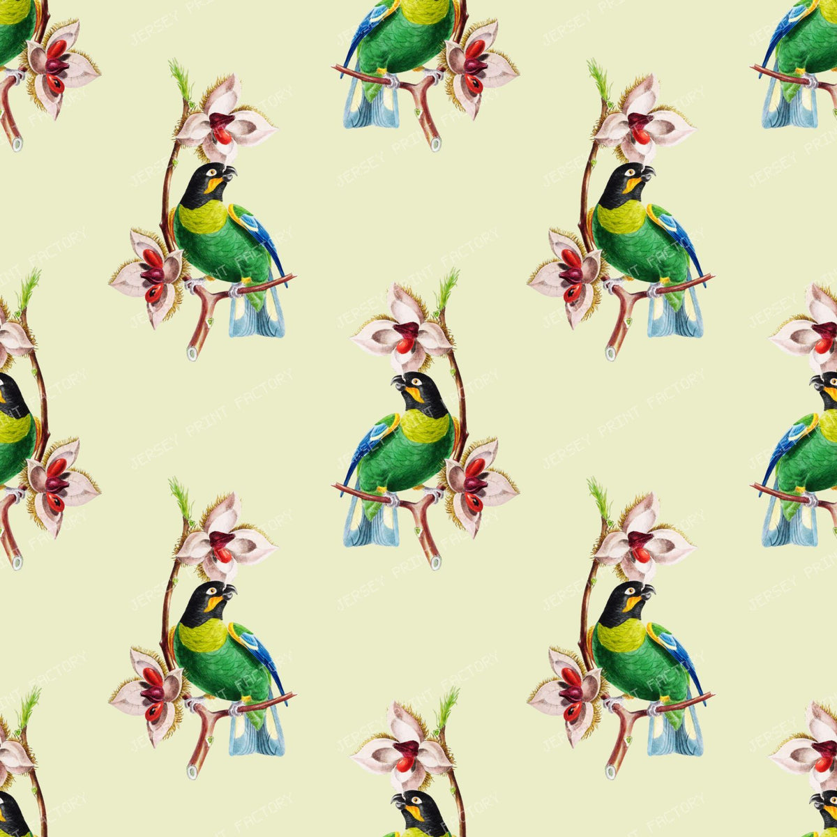 Pattern Of Parrots, Barraband's Parrot, Orange-cheeked Parrot — Yellow