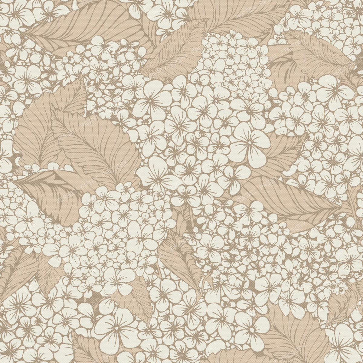 Botanical Hydrangea Garden Bloom — Tan & Cream