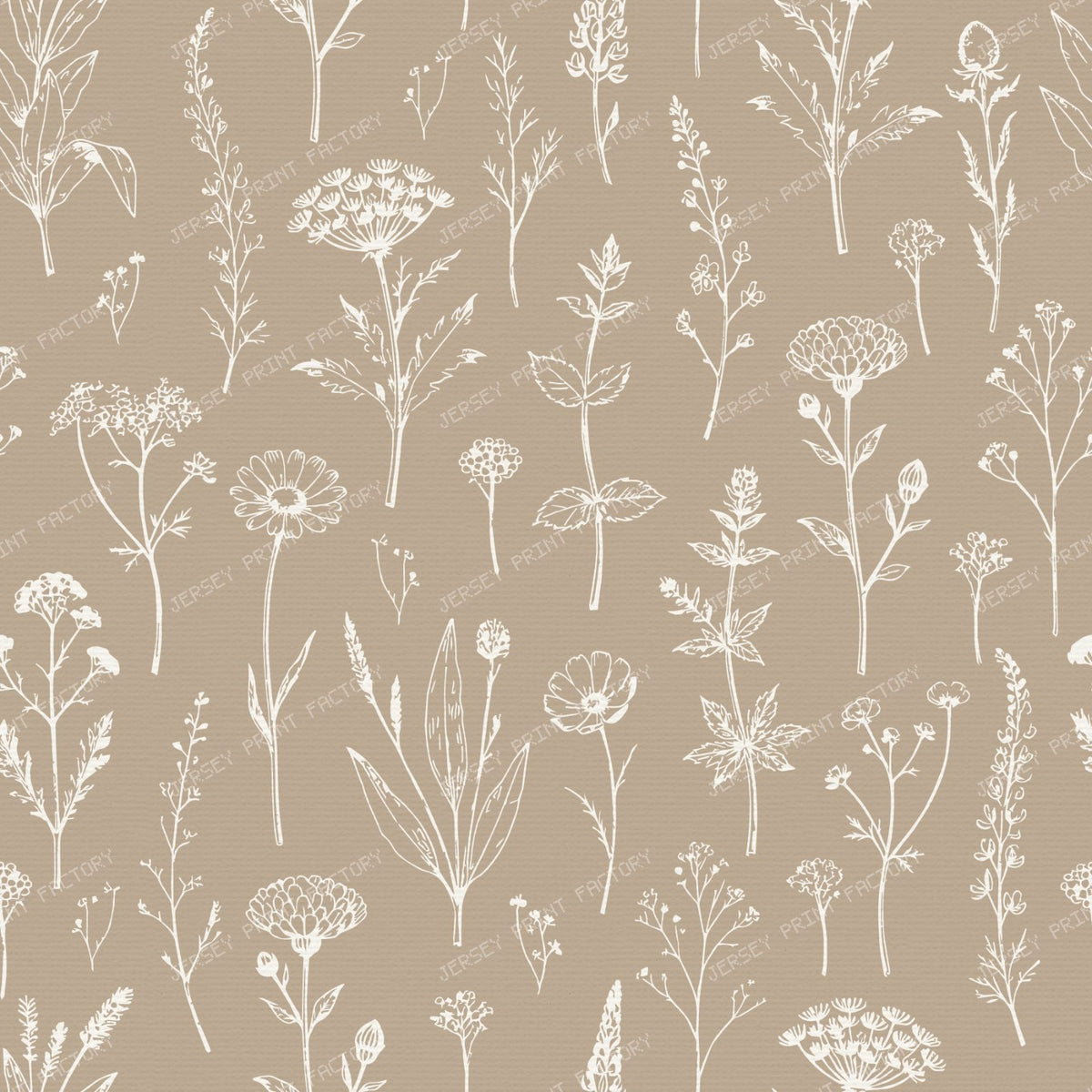 Warm Beige