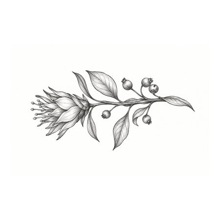 MARIA Botanical Bloom