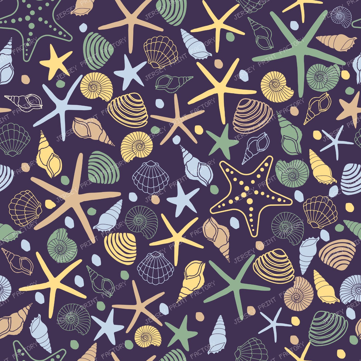 Colorful Seashells, Scallops, Conch Shells, Clam Shells, Starfish — Colorful 4