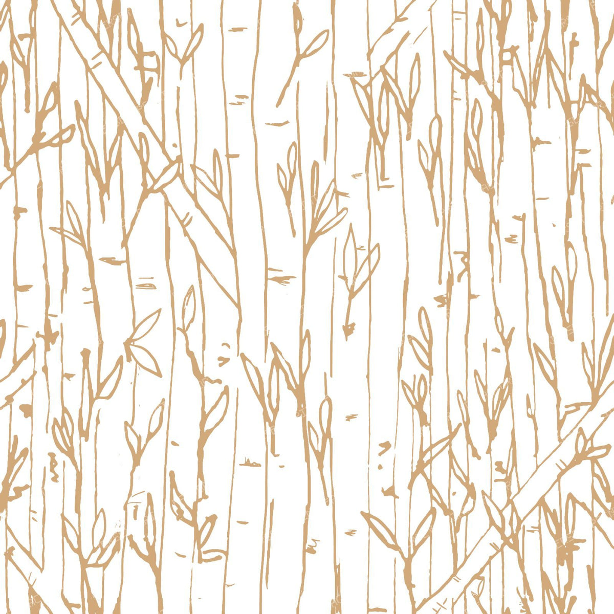 Bamboo Forest in Coffee