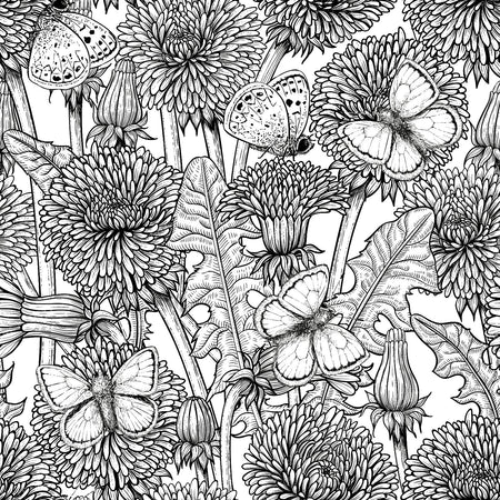 Dandelion medow — in black and white