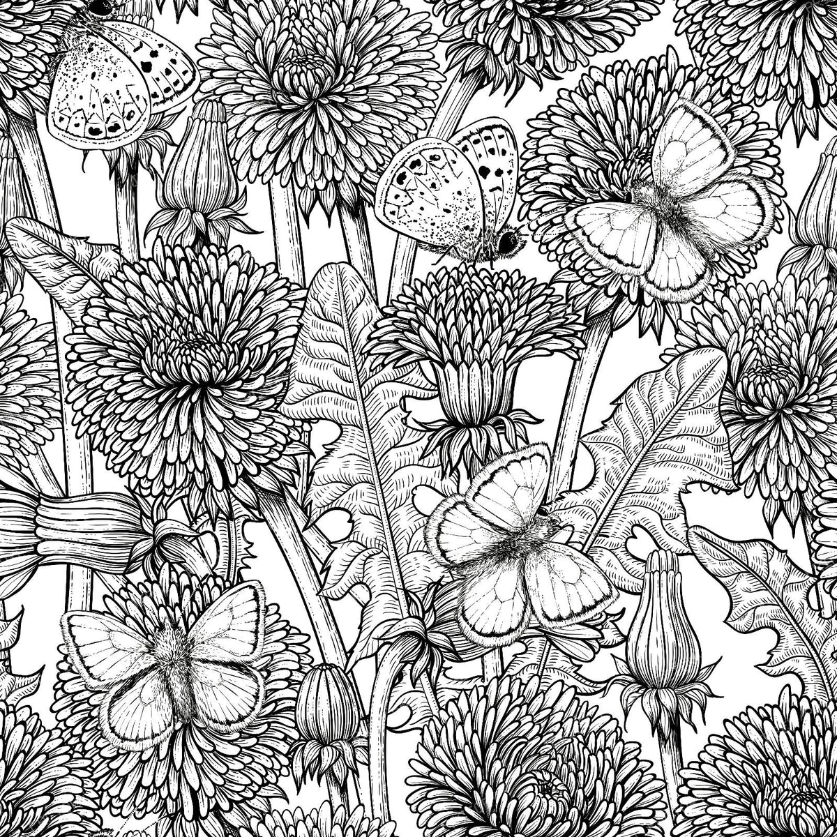 Dandelion medow — in black and white