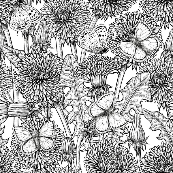 Dandelion medow — in black and white