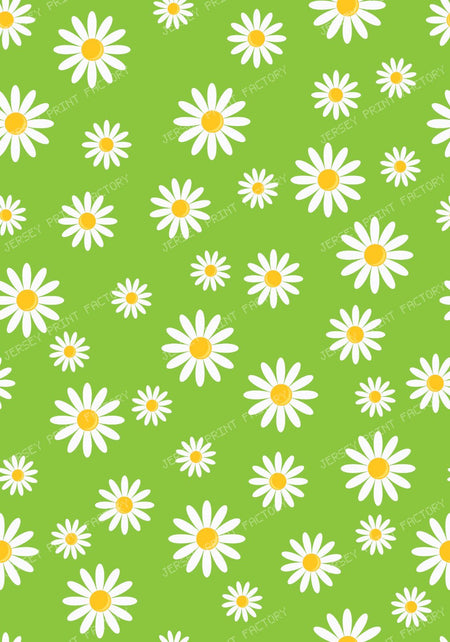 White Daisies, Daisy Flowers, Pattern Of Flowers