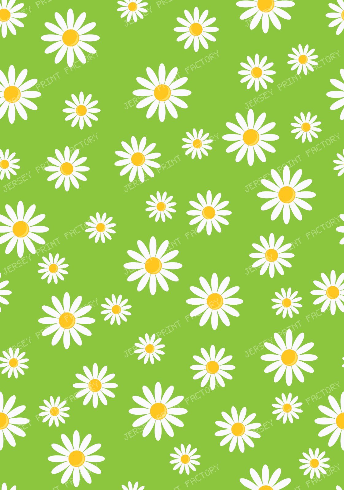 White Daisies, Daisy Flowers, Pattern Of Flowers