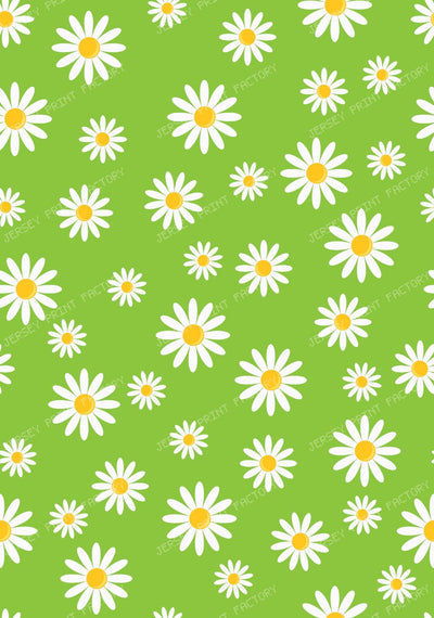 White Daisies, Daisy Flowers, Pattern Of Flowers