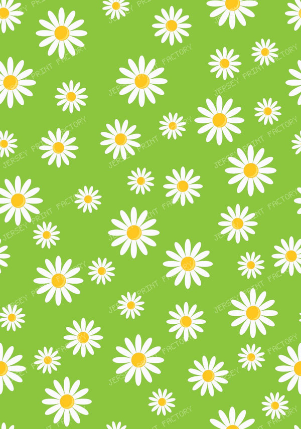 White Daisies, Daisy Flowers, Pattern Of Flowers