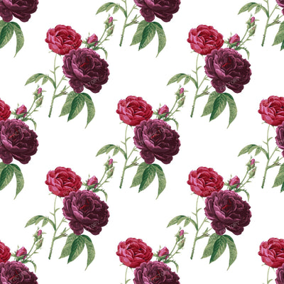 Pink Roses, Purple Roses, Floral Pattern, Rosebud, Leaves