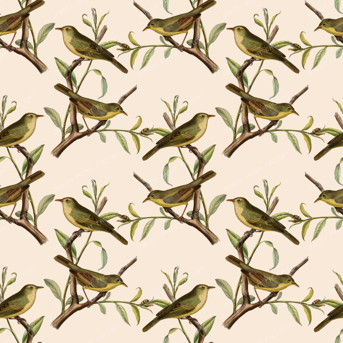 Pattern Of Birds, Green Birds, Warbler, Tree Branch — Beige