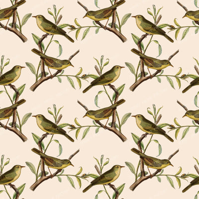 Pattern Of Birds, Green Birds, Warbler, Tree Branch — Beige