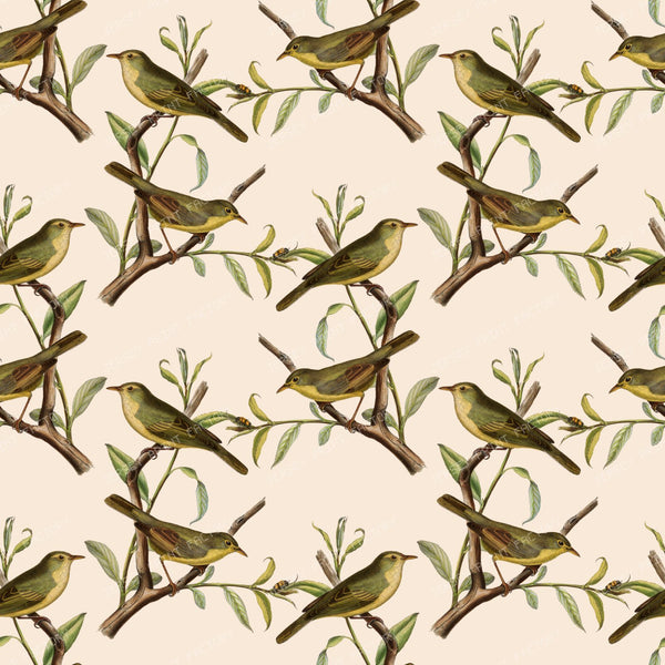 Pattern Of Birds, Green Birds, Warbler, Tree Branch — Beige
