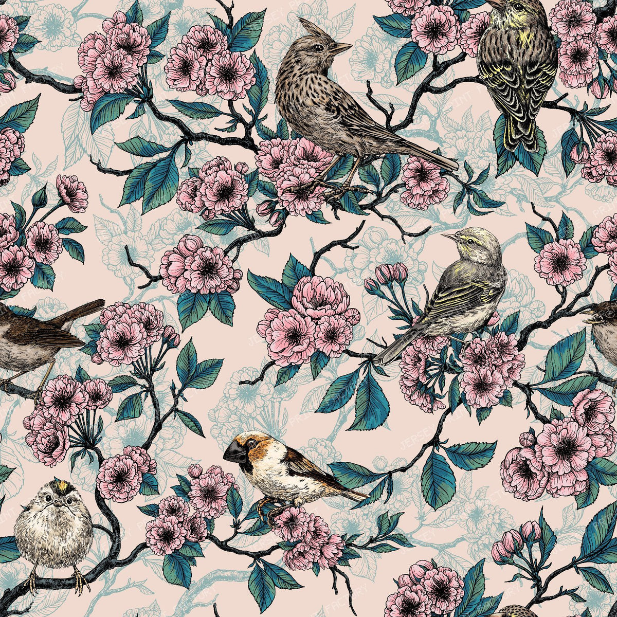 Birds and cherry blossom on white — on cotton candy pink