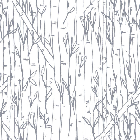 Bamboo Forest in Grey