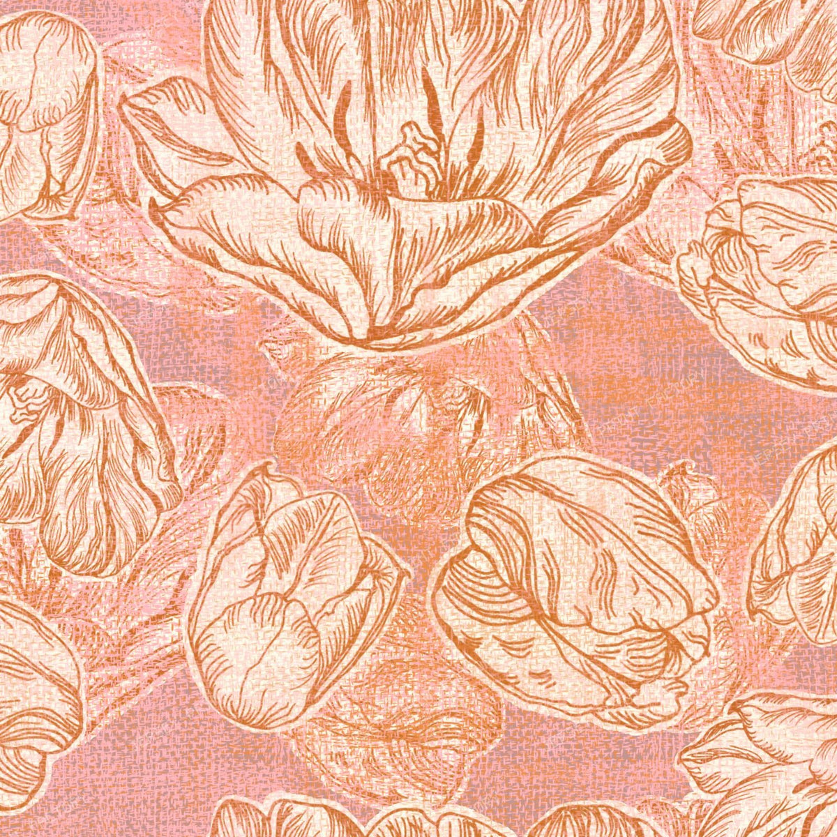 Tulip Floral Blush
