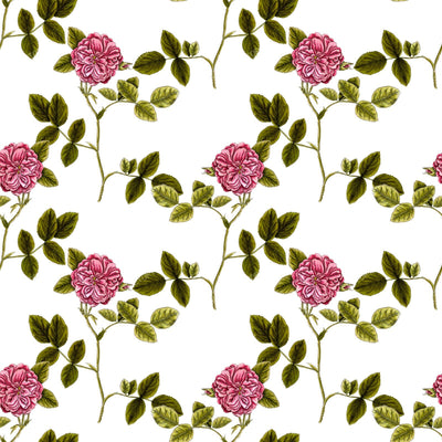 Pink Roses, Pink Flowers, Floral Pattern, Rosebud, Leaves