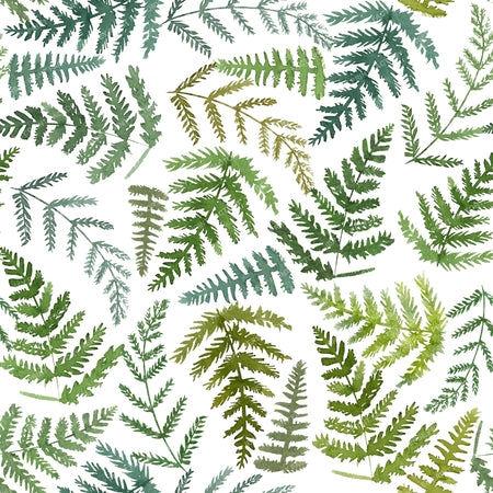 Green Ferns on white