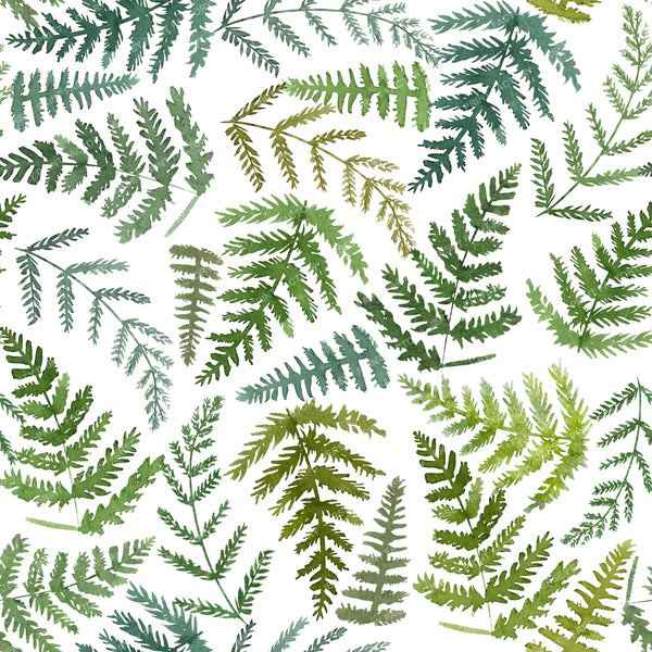 Green Ferns on white