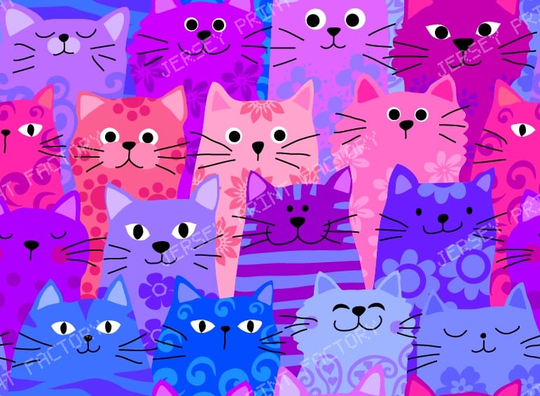 116 Fun Cat Crowd