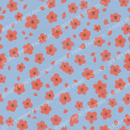 Sakura Cherry Blossom Flowers and Petals on Light Blue