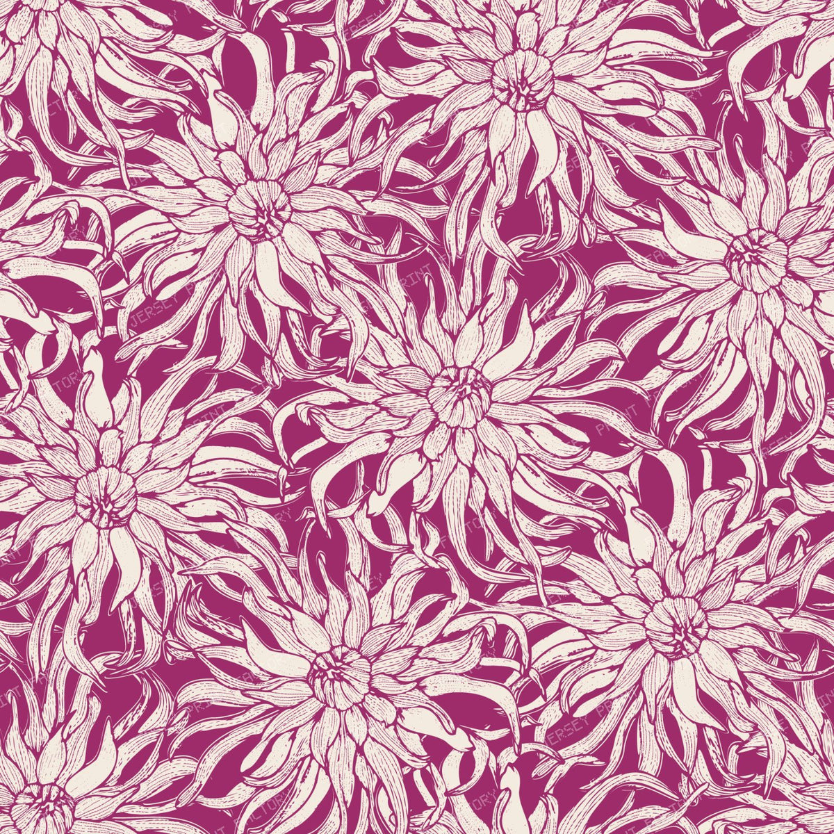 Moody Cactus Dahlia Line Art Vintage Botanical Floral — Magenta