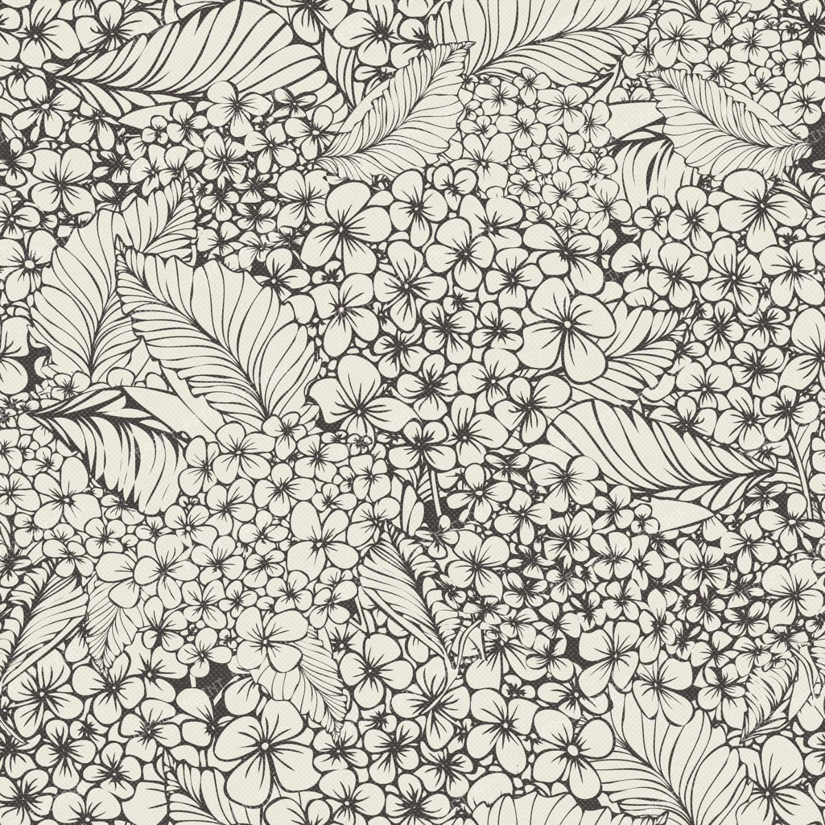 Botanical Hydrangea Garden Bloom — White