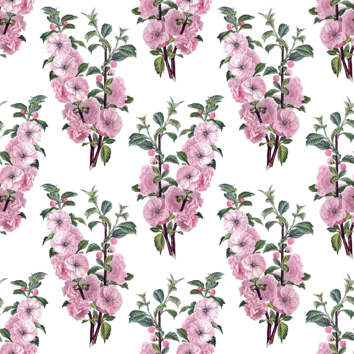 Pink Flowers, Cherry Blossom, Sakura, Floral Pattern