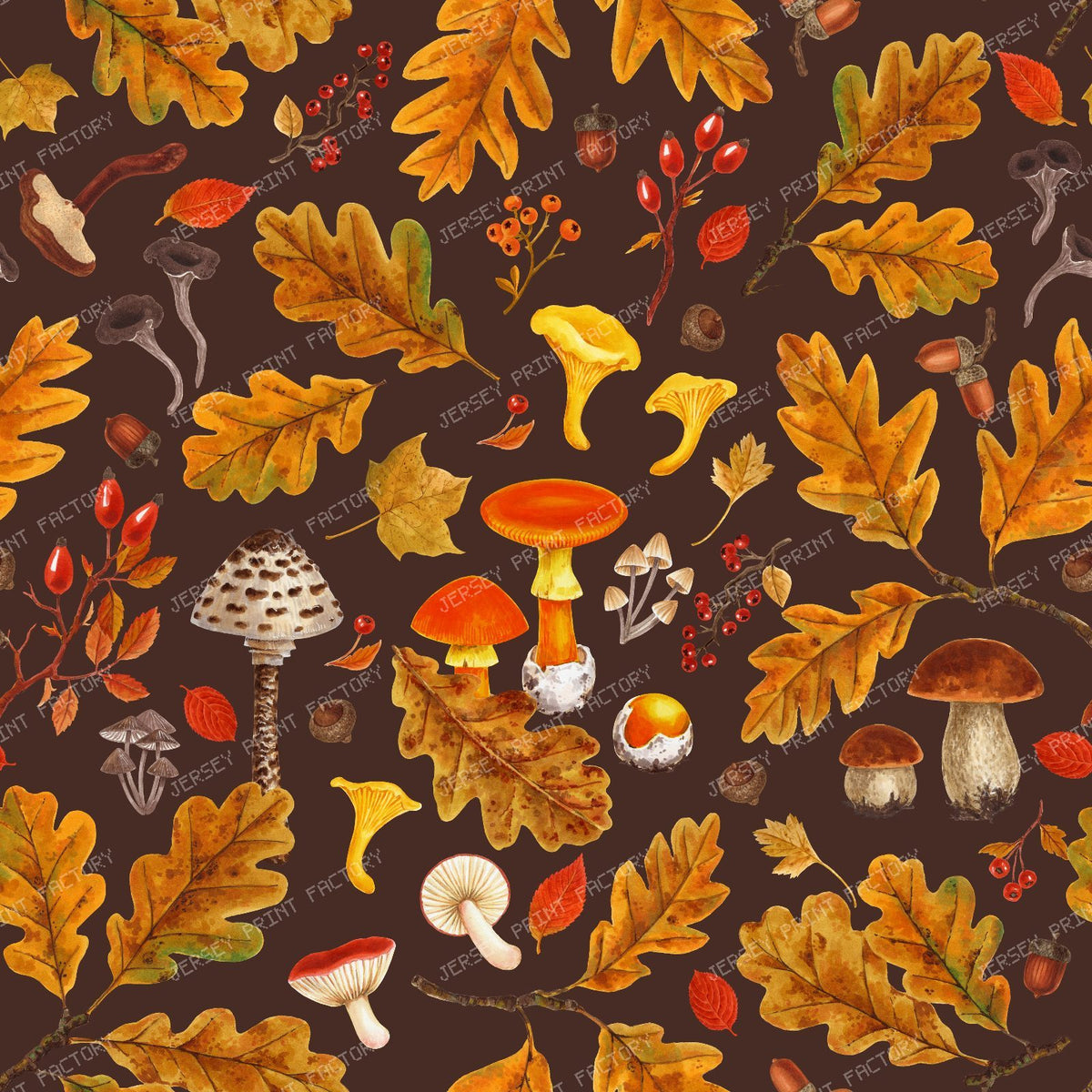 Forest mushrooms and autumn flora on brown