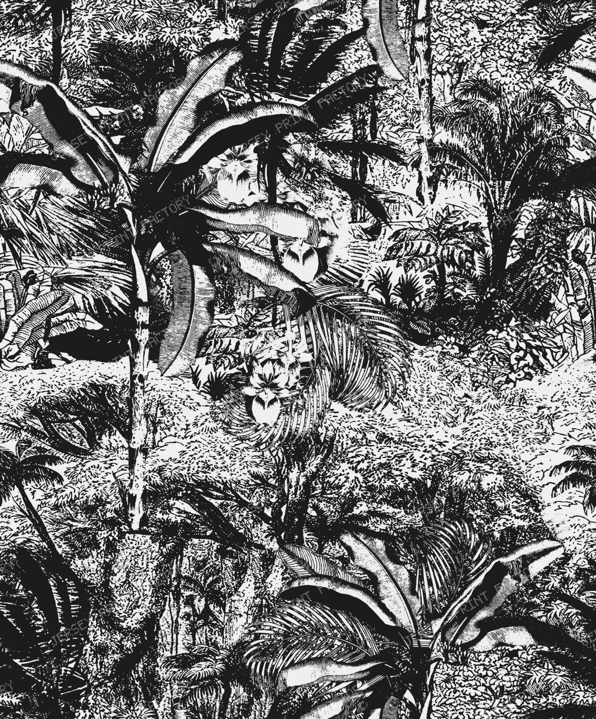 Dramatic Charcoal Black and Chalk White Vintage Tropical Pattern