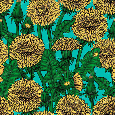 Dandelions — on bright blue
