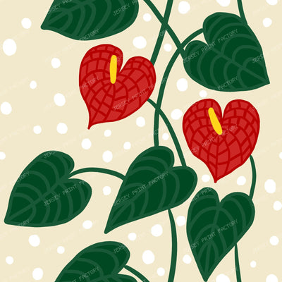 Anthurium