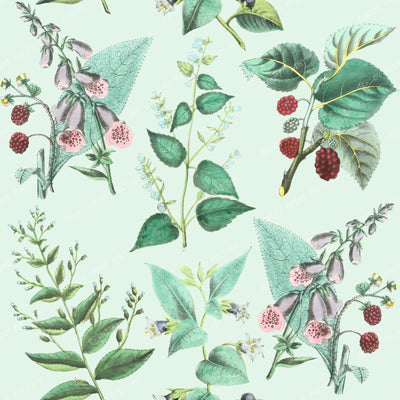 Forest Plants Cottagecore Floral Botanical Pattern on Mint Green