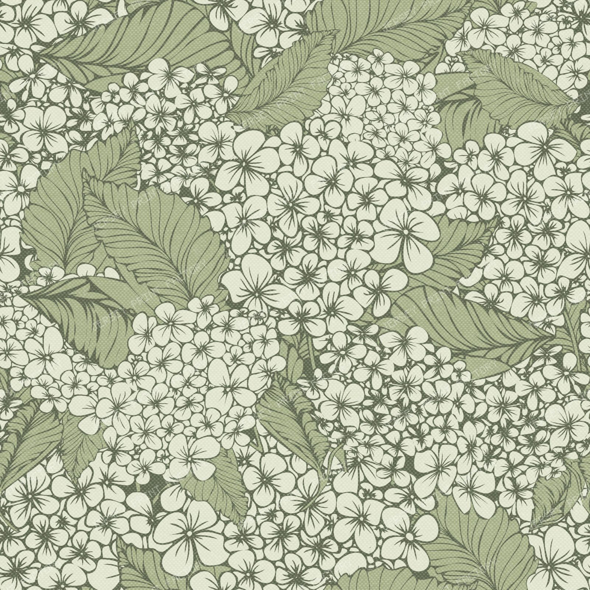 Botanical Hydrangea Garden Bloom