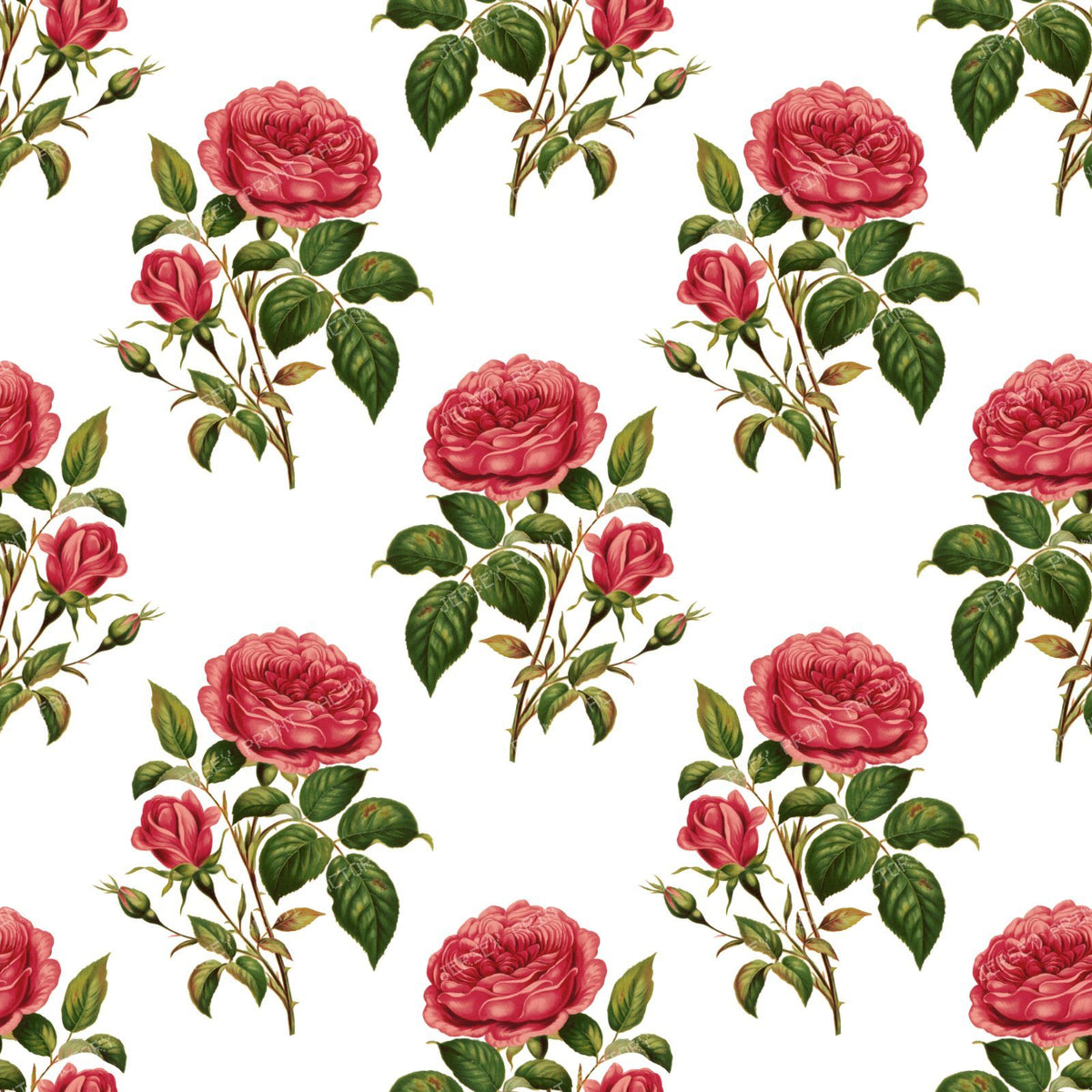 Red Roses, Red Flowers, Floral Pattern, Rosebud, Leaves