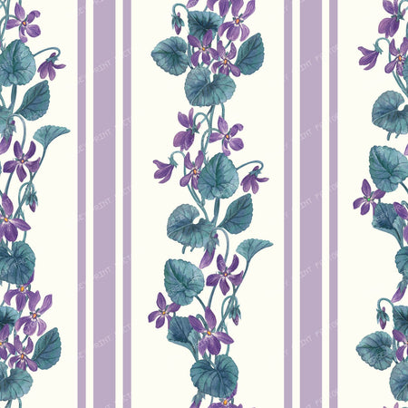 Stripes and violets in green and violet — violet and blue