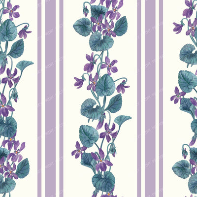 Stripes and violets in green and violet — violet and blue