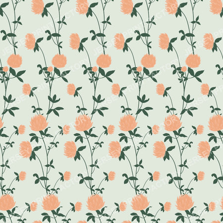 Soft Spring